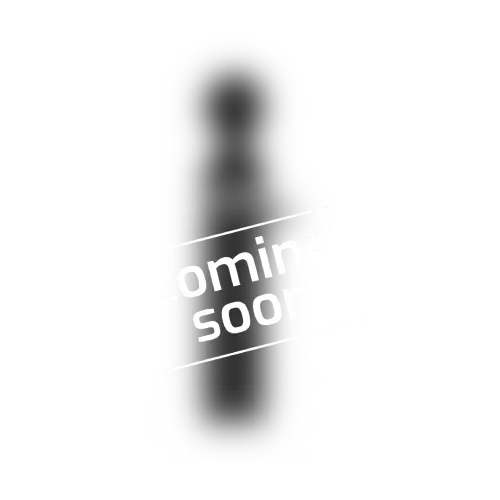 Home Essentials Product 4